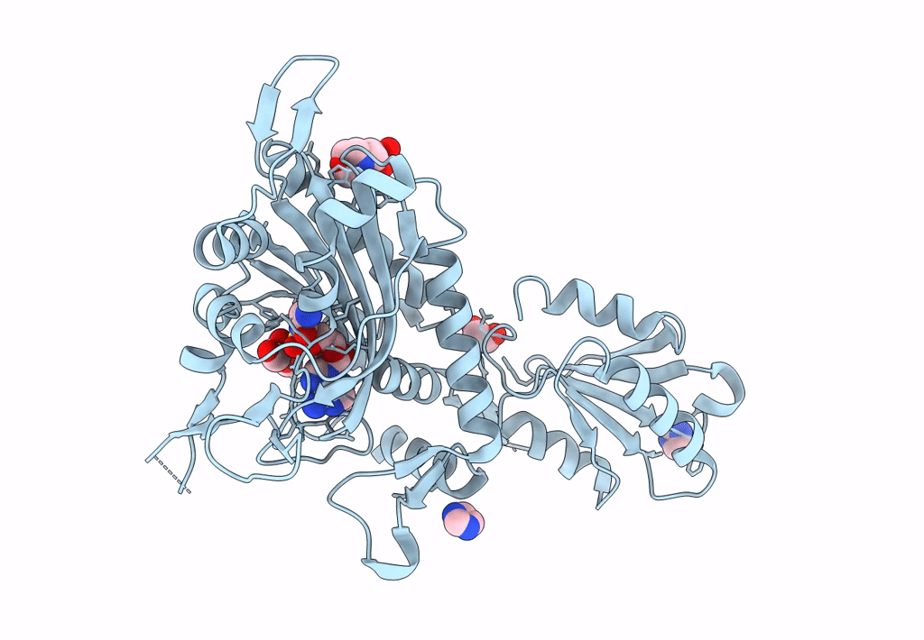 8U2P image