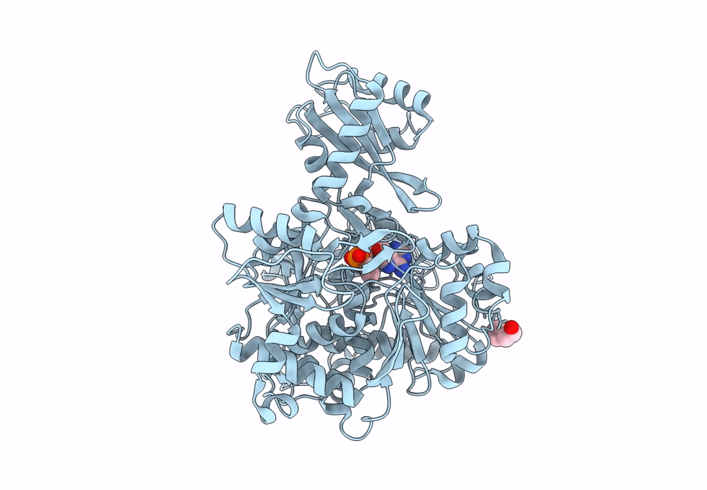 8U2R image