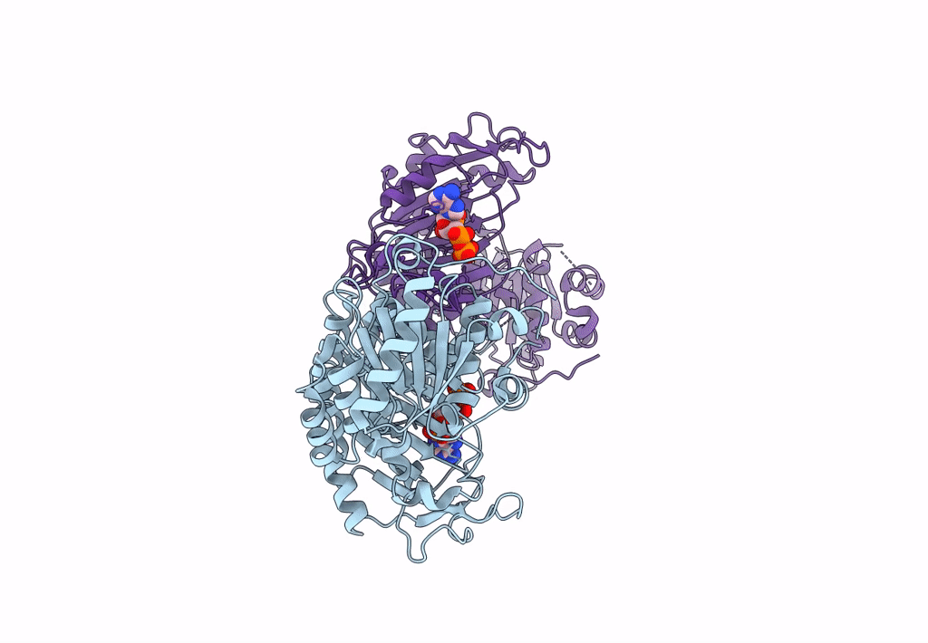 8U2W image