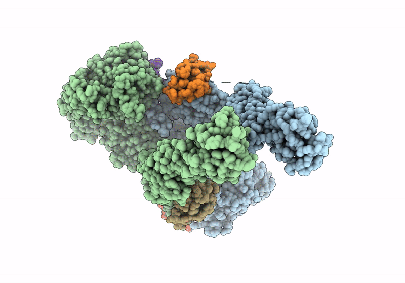 8U4C image