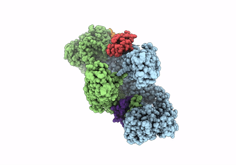 8U4E image