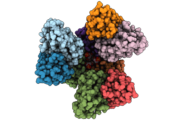 8U4S image
