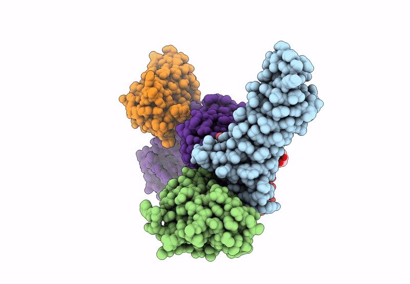 8U4V image