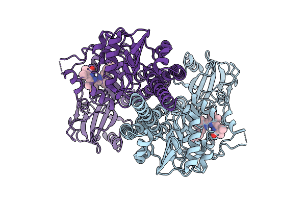 8U4X image