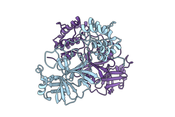 8U4Y image