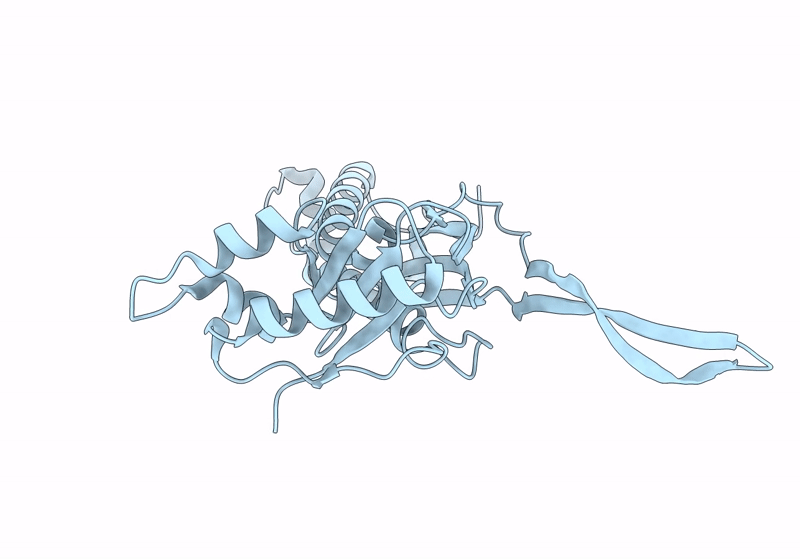 8U50 image
