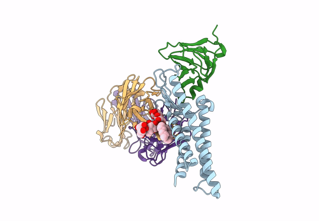 8U5B image