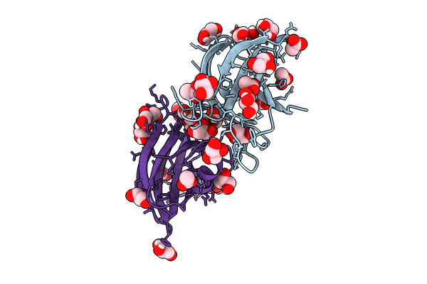 8U5D image