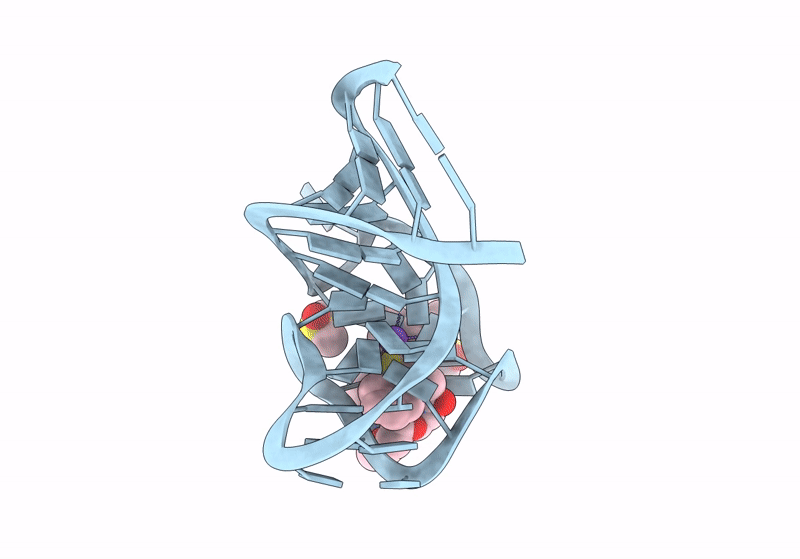 8U5J image