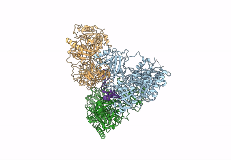 8U5Y image