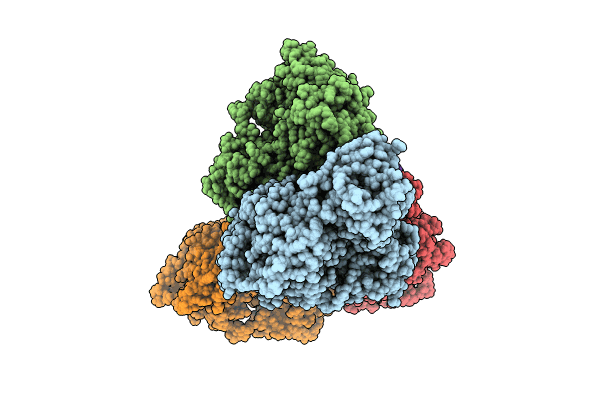 8U61 image