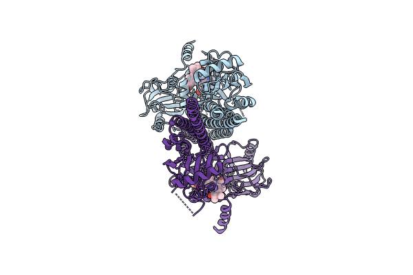 8U62 image