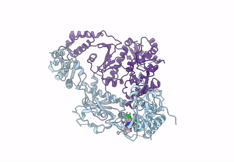 8U6B image
