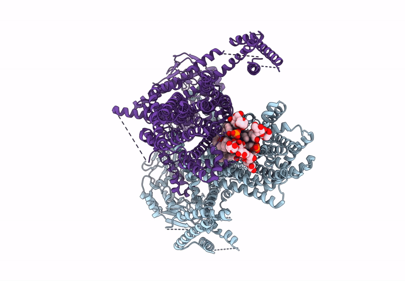 8U71 image