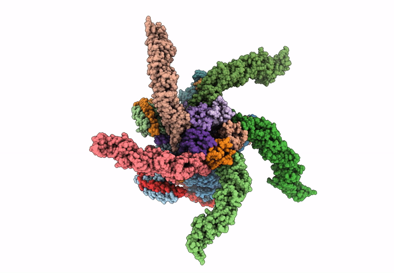 8U81 image