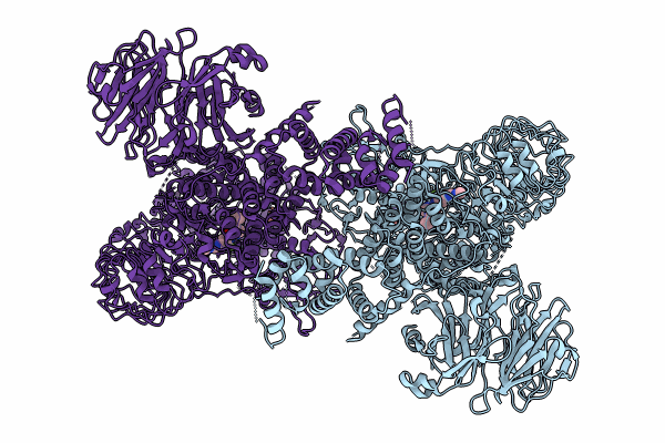 8U8B image