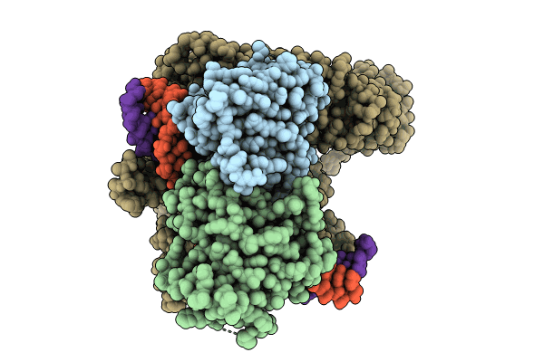 8U8V image