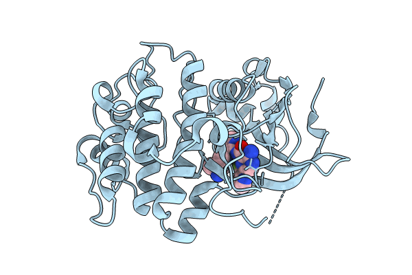 8UAK image