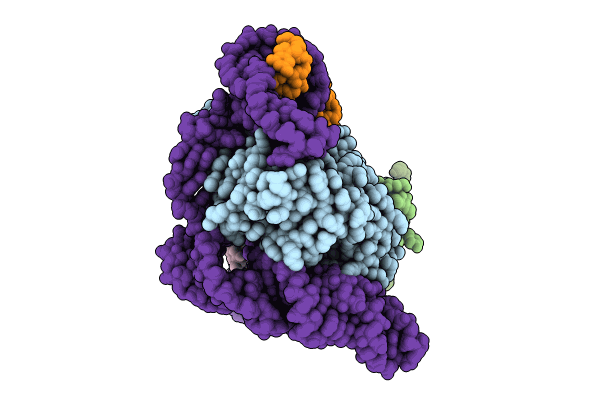 8UBD image