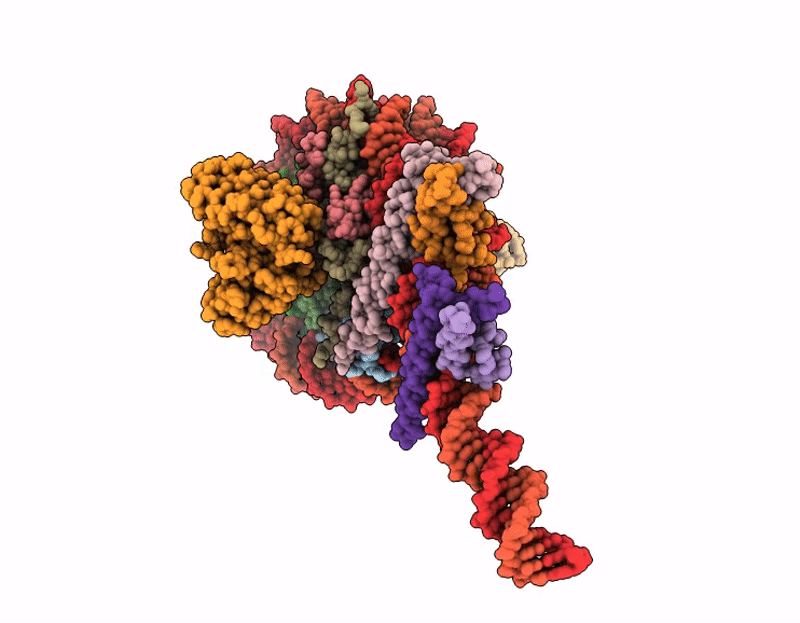 8UBL image