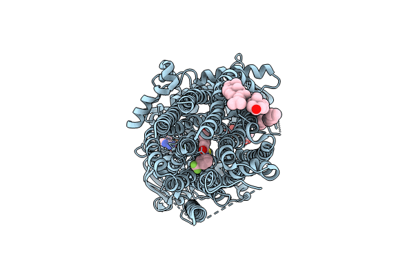 8UBR image