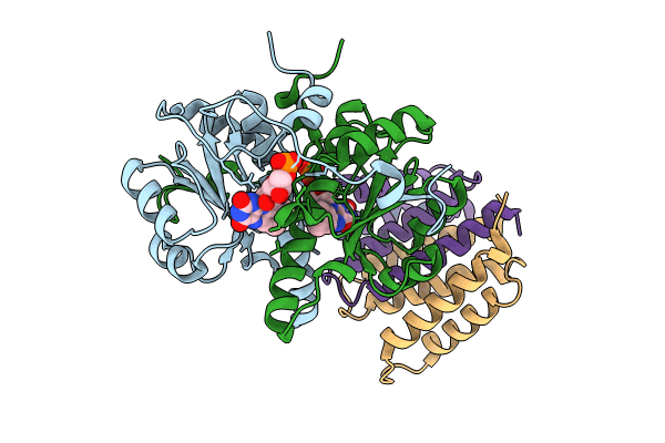 8UC3 image