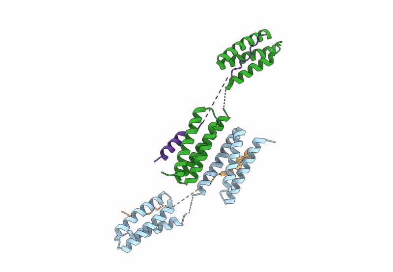 8UC6 image