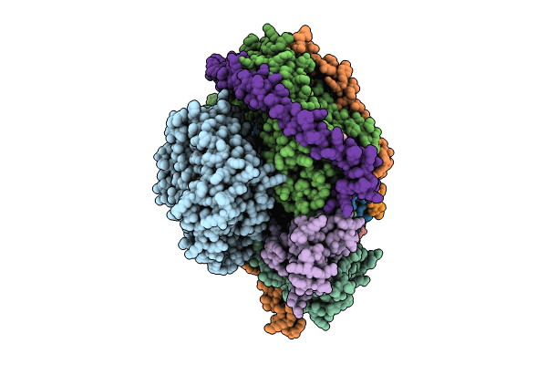 8UCJ image
