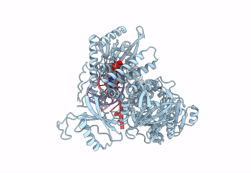 8UCU image