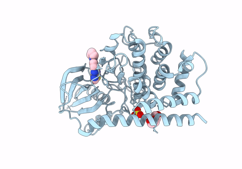 8UDC image