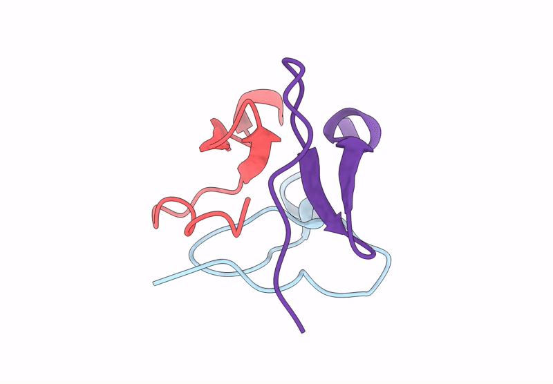 8UDN image