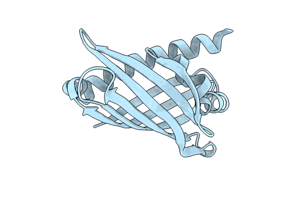 8UDS image