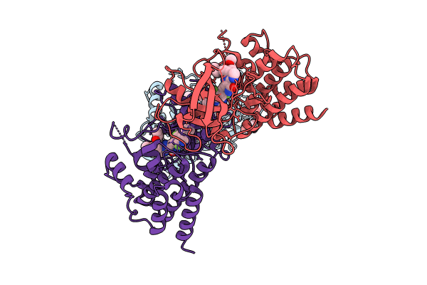 8UDT image
