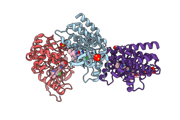8UDV image
