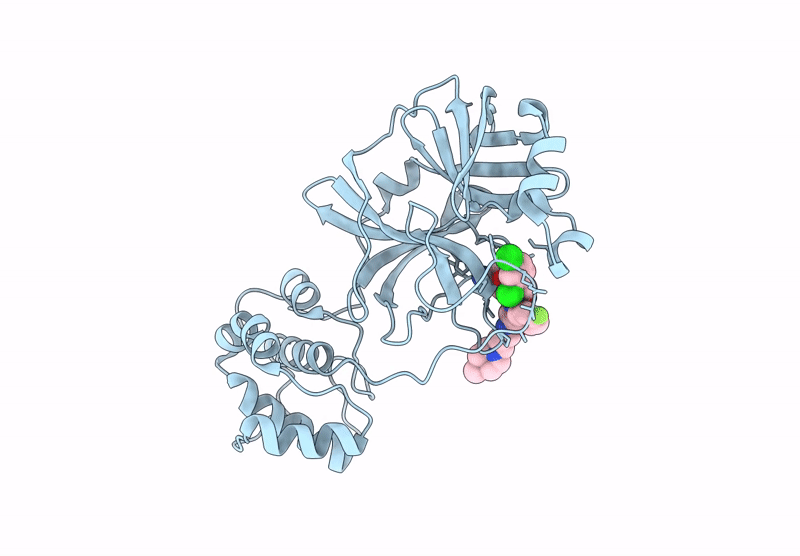 8UDX image