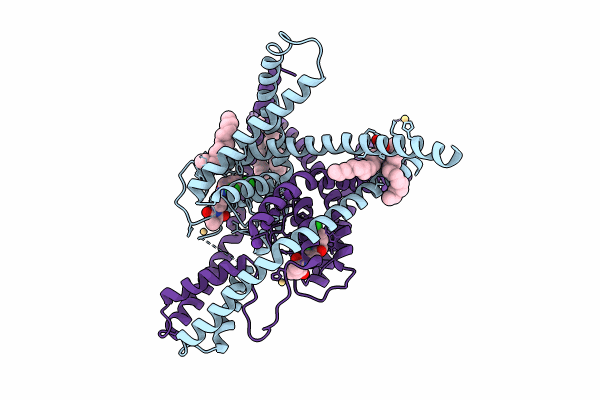 8UEC image