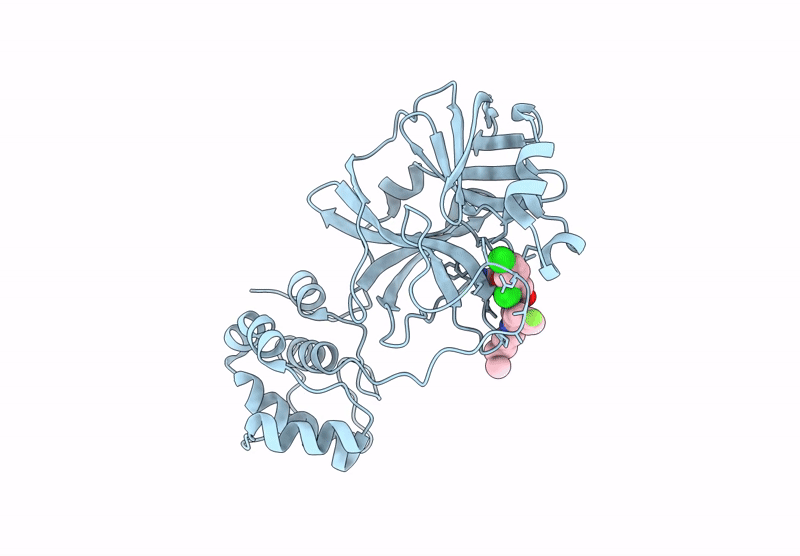 8UEF image