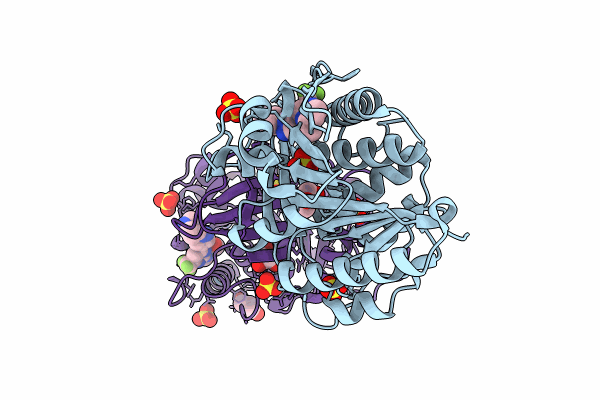 8UG1 image