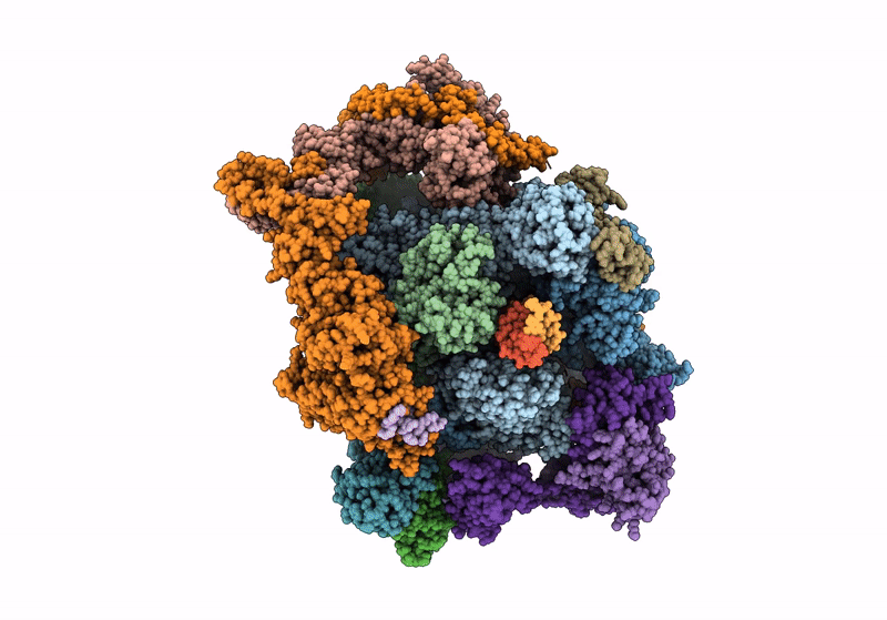 8UHA image