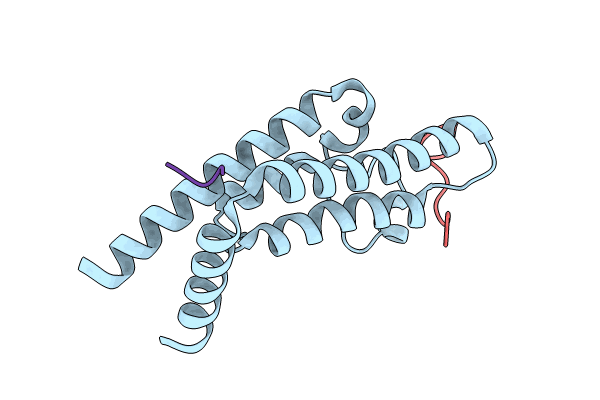 8UHL image