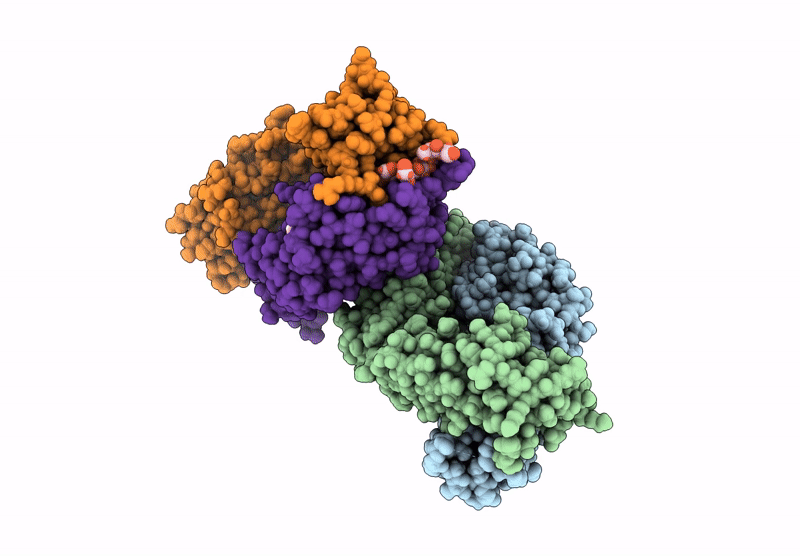8UHN image