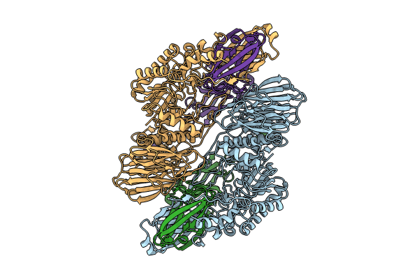 8UID image