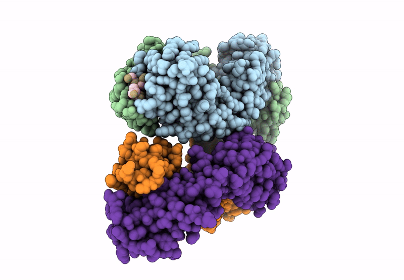 8UJI image