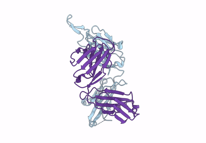 8UKI image