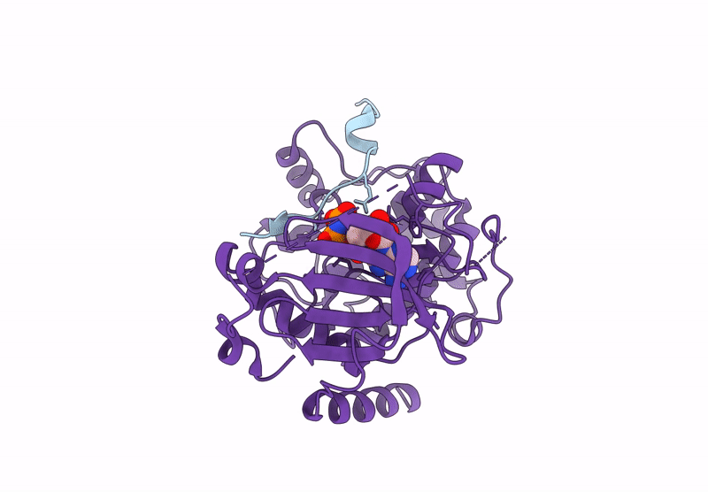 8UKP image