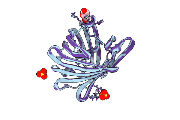 8UL2 image