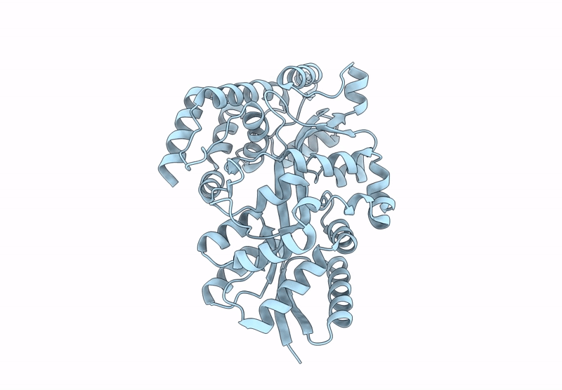 8ULA image