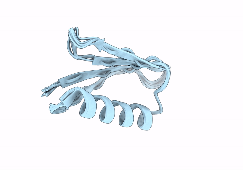 8UMB image
