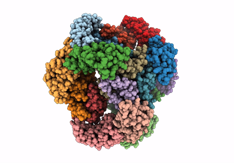 8UMR image