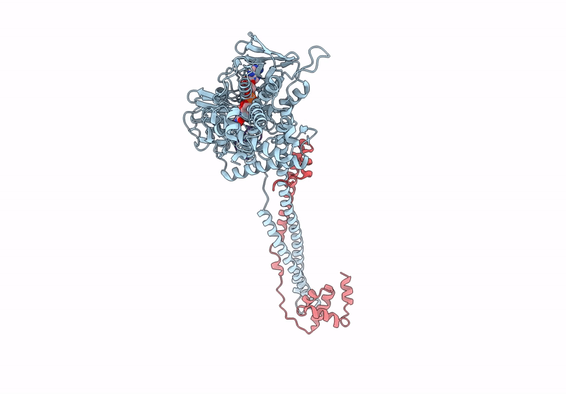 8UOM image